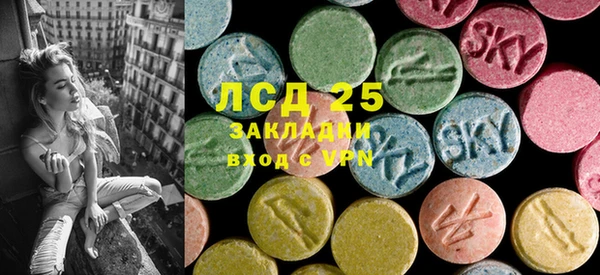 дживик Елизово