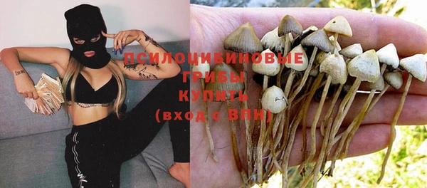 каннабис Ельня
