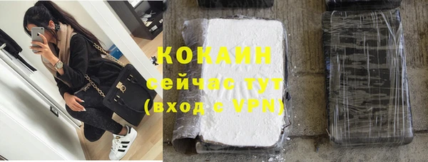 дживик Елизово