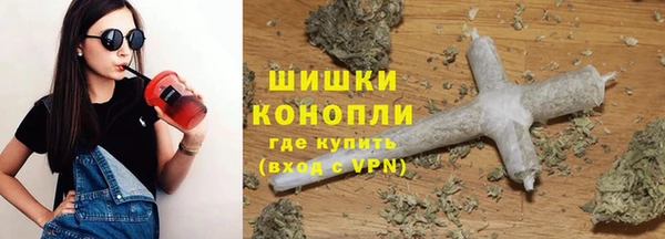 дживик Елизово