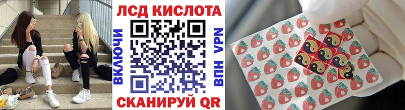 Купить закладки  Мариинский Посад  Наркотические марки 1500мкг 